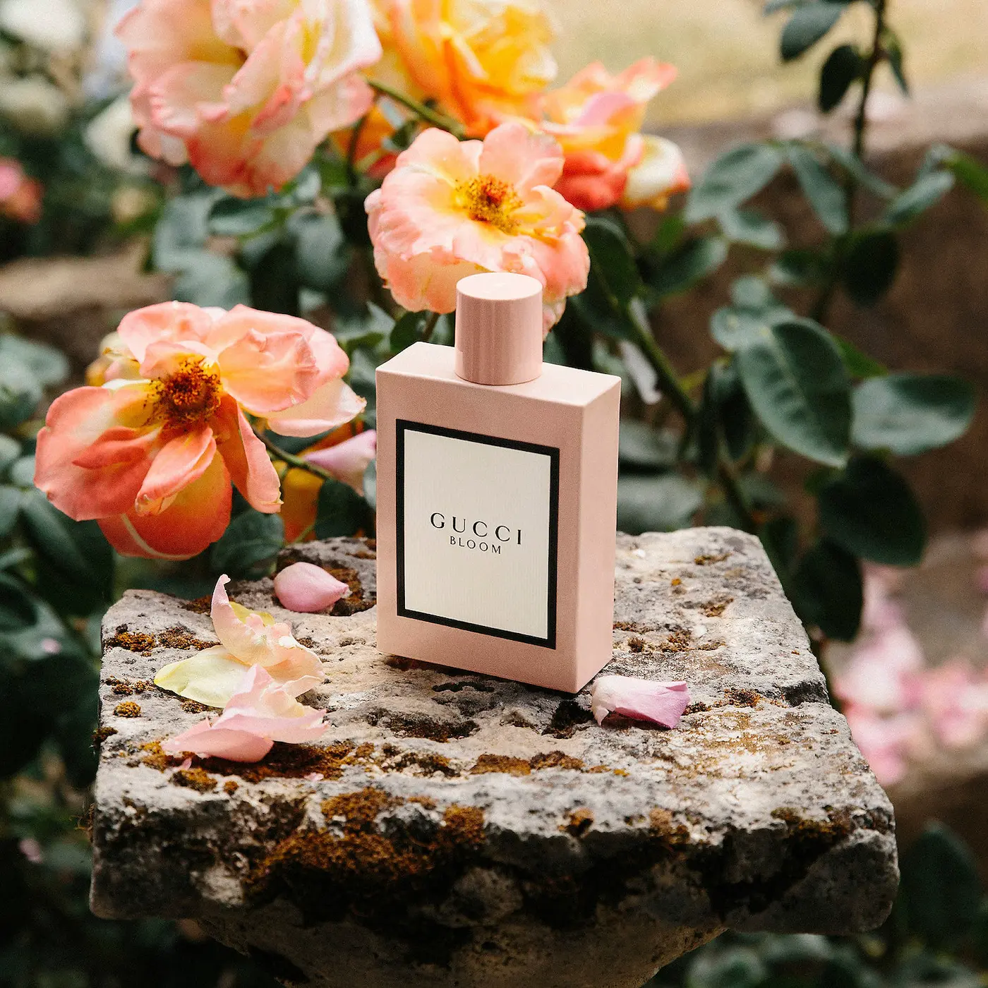 GUCCI BLOOM 花悅女性淡香精5ml_國際航空版｜Global Online｜Global