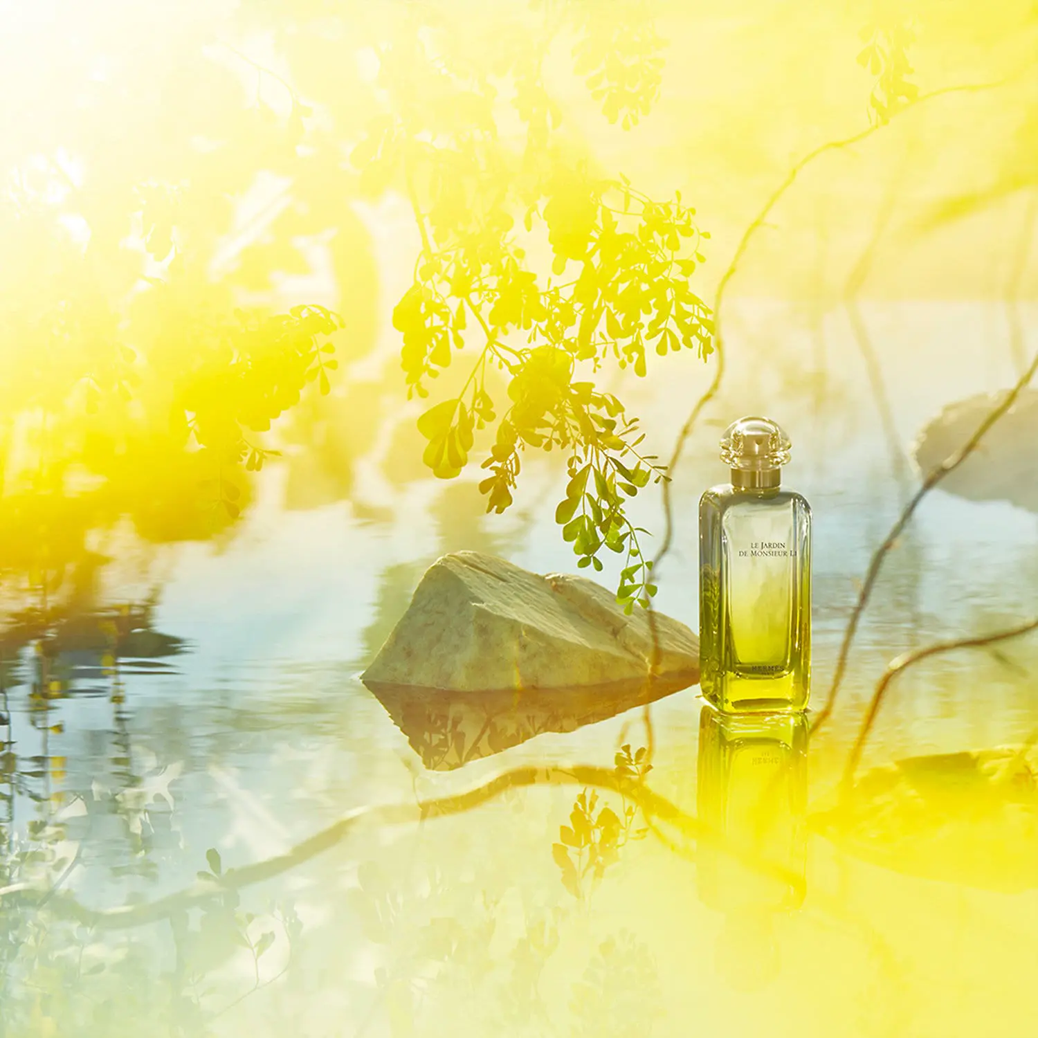 Hermes 愛馬仕李先生的花園淡香水50ml_國際航空版｜Global