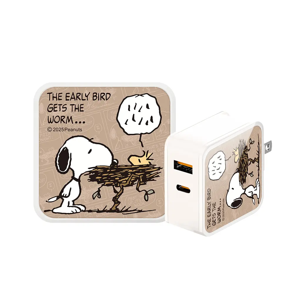 【SNOOPY 史努比】40W GaN氮化鎵 夾心玻璃 快充充電器/旅充(1C1A)-鳥窩