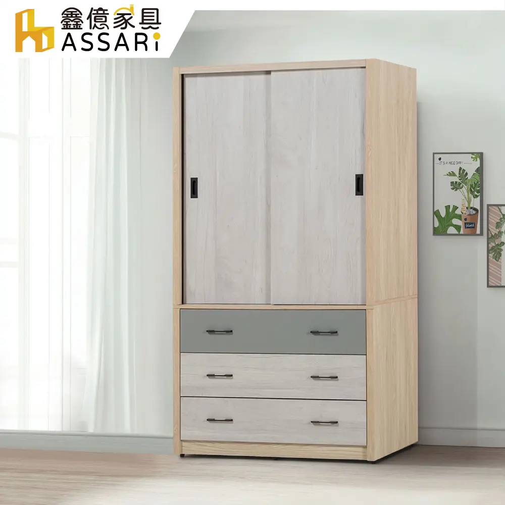 ASSARI-溫莎3.6尺推門衣櫃(寬107x深60x高200cm)