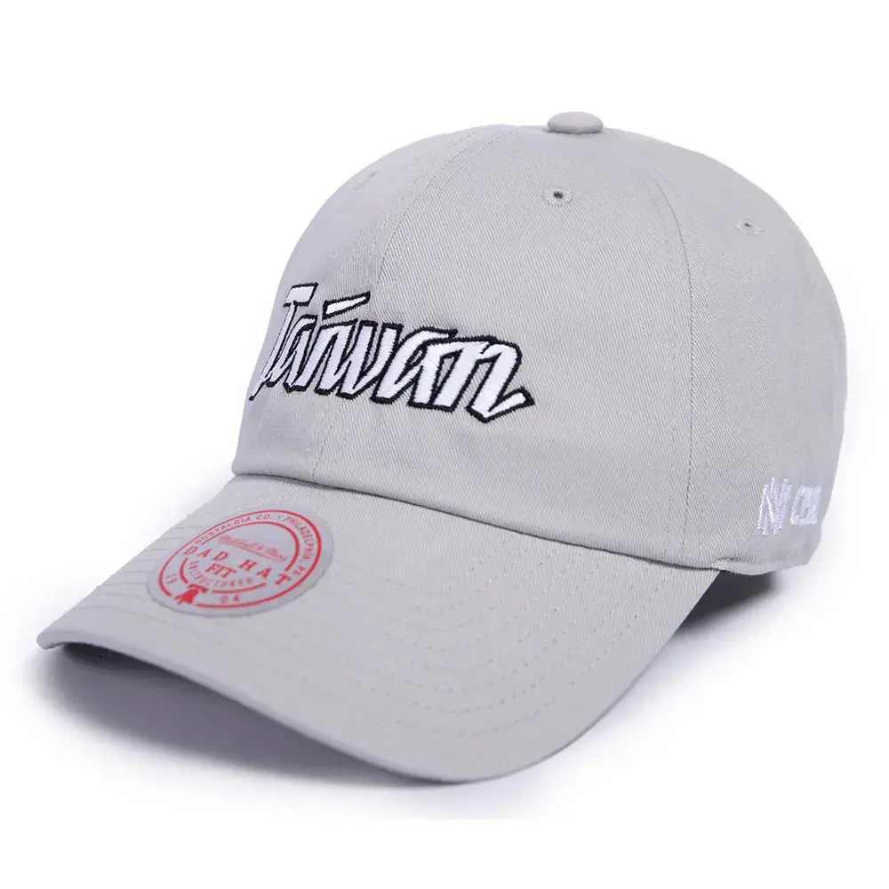 【GOGO SPORTS】Mitchell & Ness X TEAM TAIWAN 老帽 灰(MN532004-950)