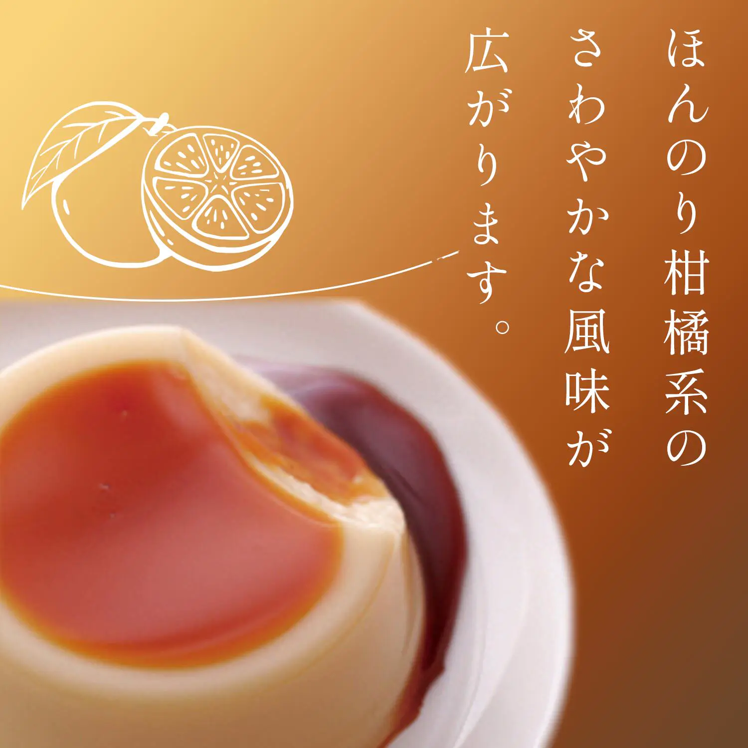 【TORAKU】神戶布丁禮盒 6入