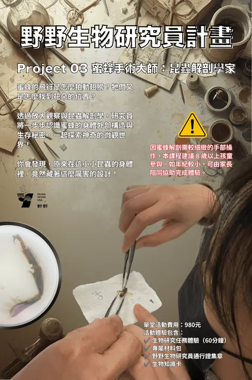 【野野】野野生物研究員計畫－03｜蜜蜂手術大師：昆蟲解剖學家