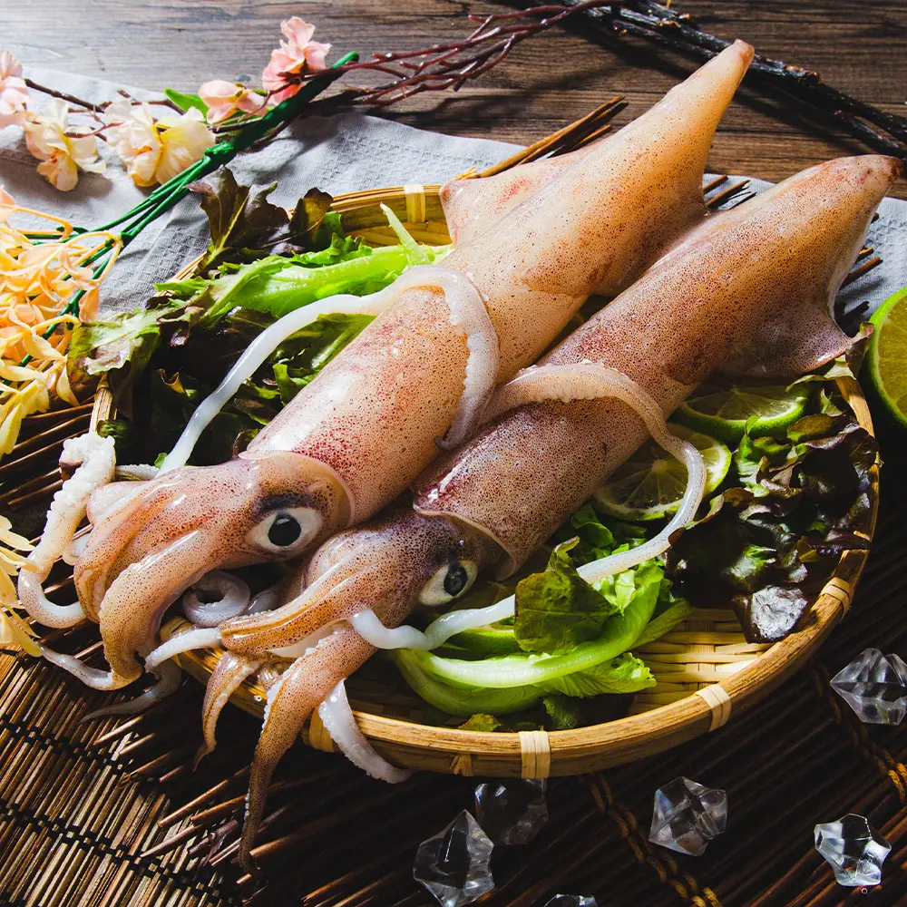 【鮮綠生活】野生船凍透抽 (500g/包 2隻/包) 共2包-免運