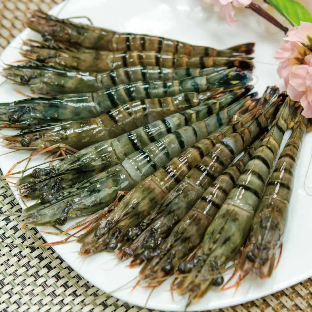 結帳再9折↘買二送一★ 巨無霸白蝦蝦后約18公分2盒 +贈草蝦12P一盒 鮮綠生活 免運到府