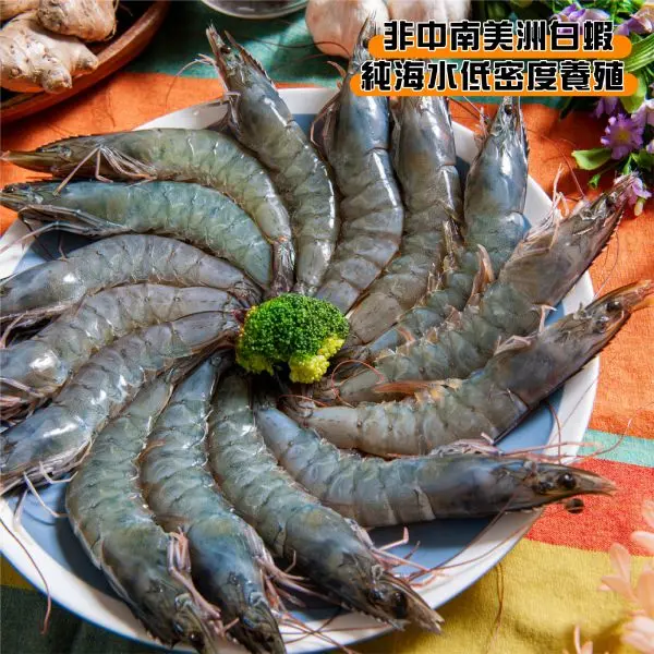 結帳再9折↘買二送一★ 巨無霸白蝦蝦后約18公分2盒 +贈草蝦12P一盒 鮮綠生活 免運到府