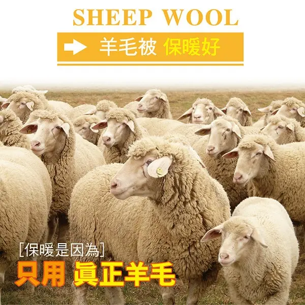 【皮斯佐丹】100%雙人純新特級羊毛被/棉被胎