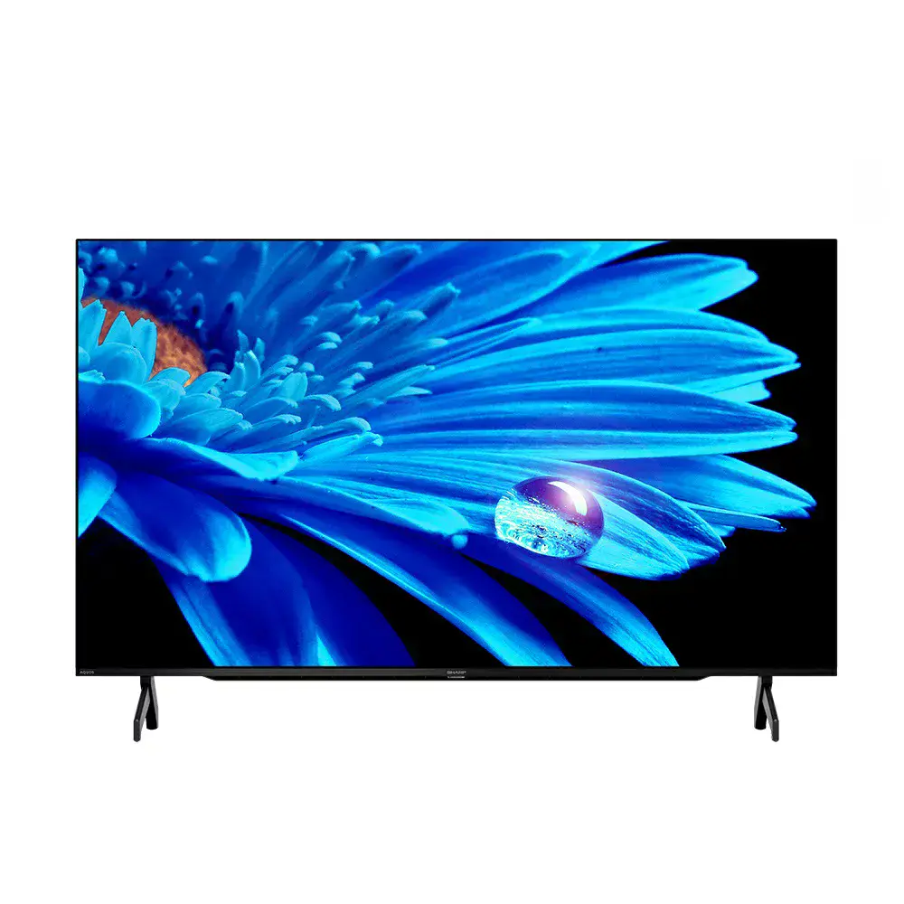 【SHARP夏普】65型 Google TV聯網顯示器 4T-C65FK1X-含運無安裝